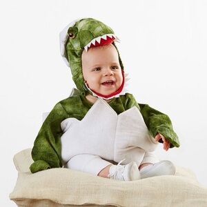 Pottery Barn Kids Green Dinosaur Costume